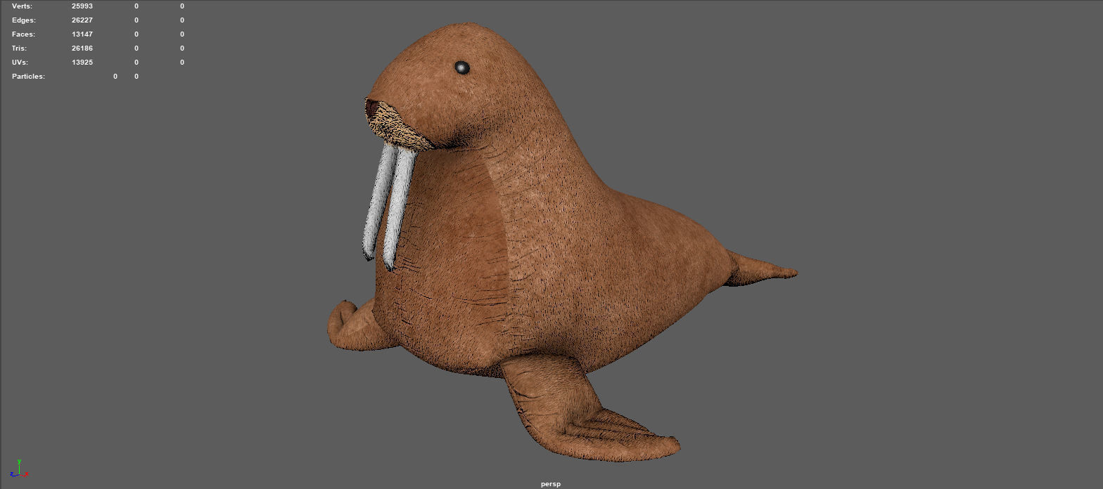 WALRUS TEDDY 3D model_3