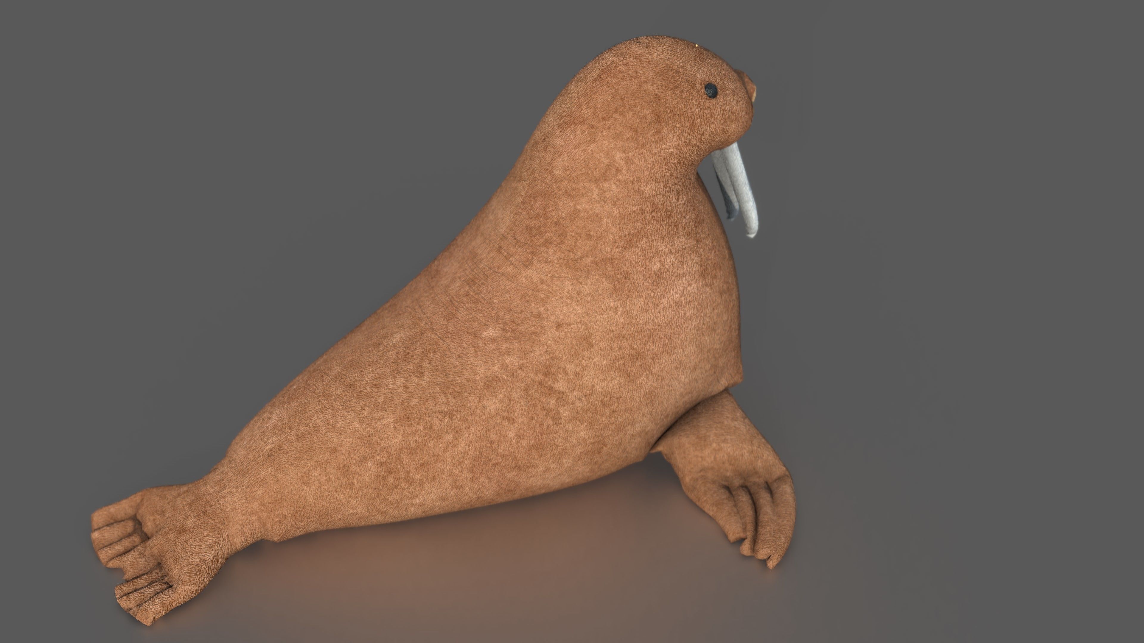 WALRUS TEDDY 3D model_1
