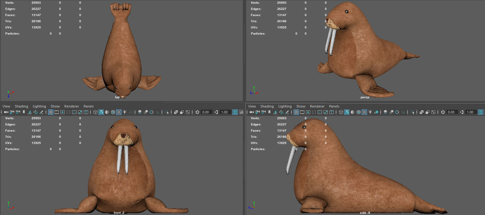 WALRUS TEDDY 3D model_8