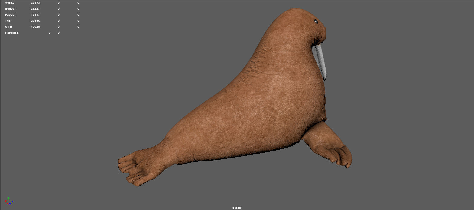 WALRUS TEDDY 3D model_4