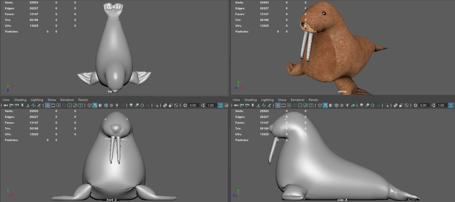 WALRUS TEDDY 3D model_9