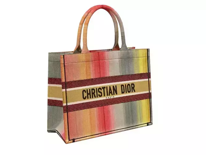 Dior Bag Small Book Tote Multicolor Stripe Embroidery Low-poly 3D model