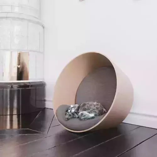 Sleeping cat in oval pet bed