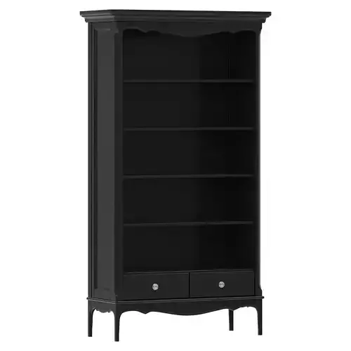 Dantone Home Venice bookcase