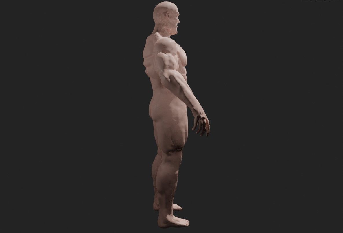 Man Muscled - Base Mesh 3D model_9