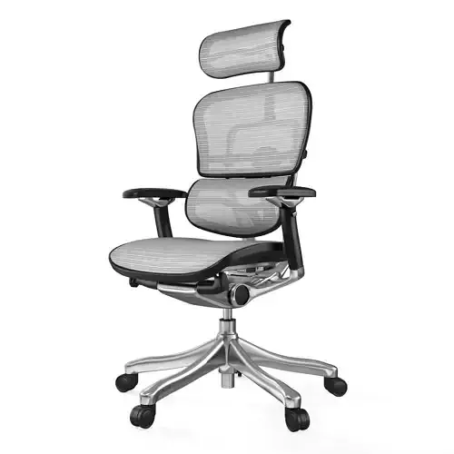 Ergohuman Plus Luxury Office Chair 2 Colors and 6 Colors mesh