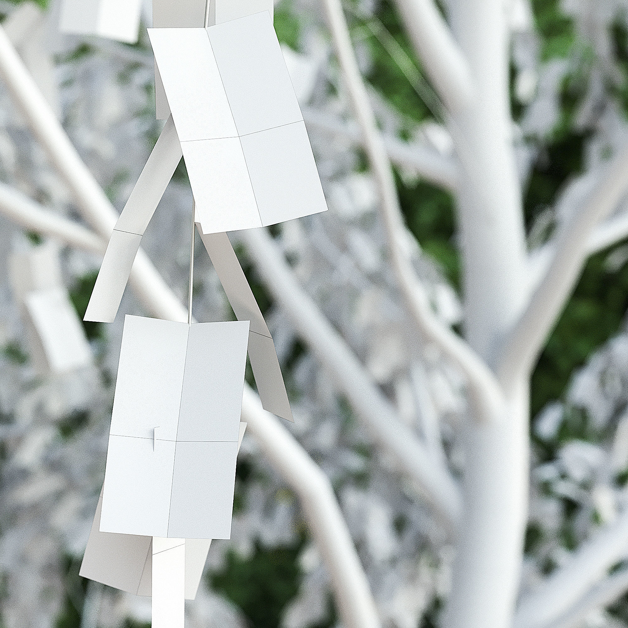 Betula Pendula 15m 006 3D model_3
