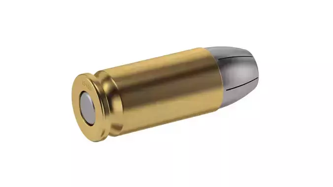 Bullet 45 ACP