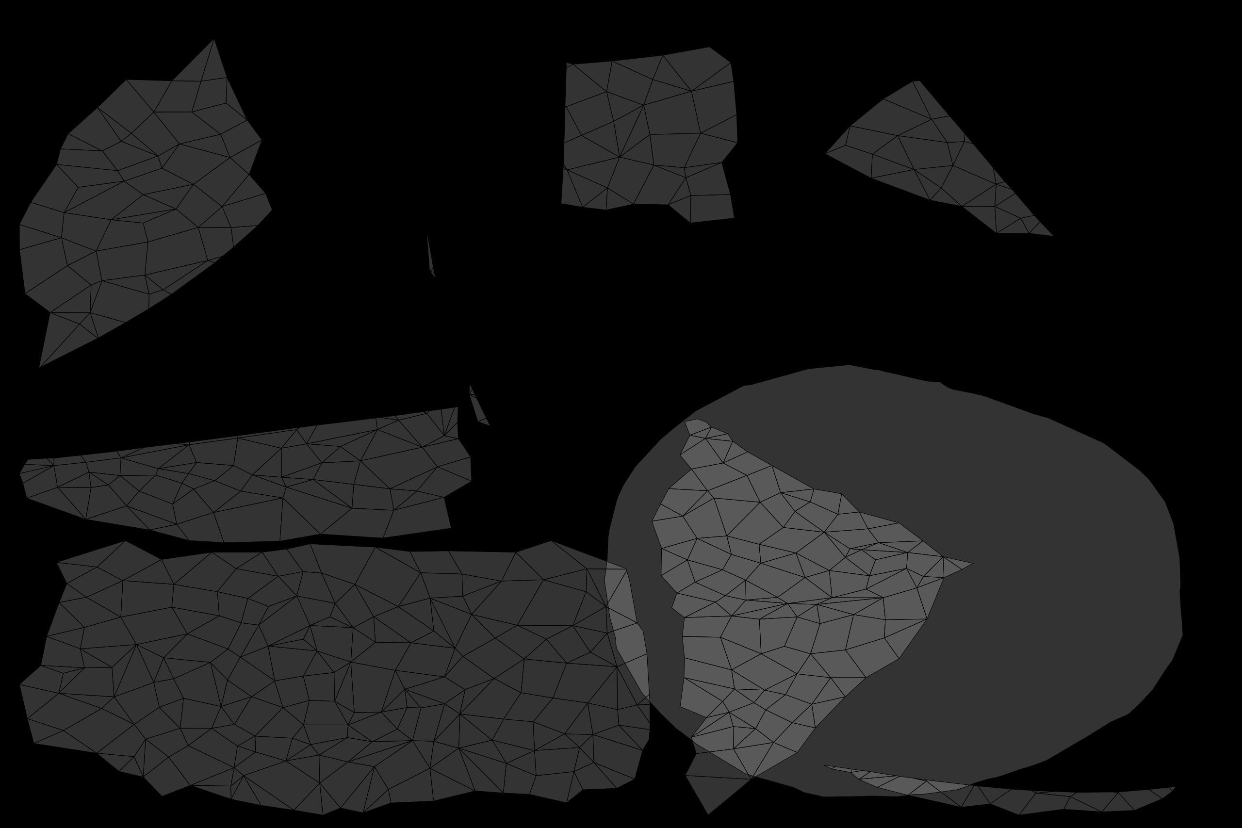 Avocado Low-poly 3D model_30