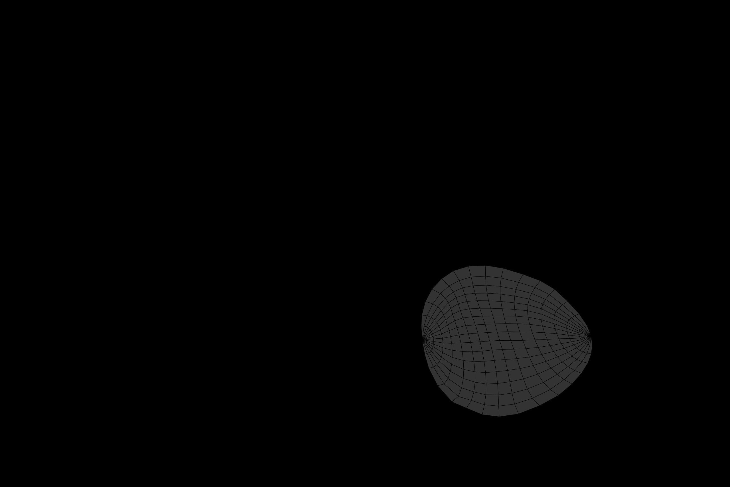 Avocado Low-poly 3D model_31