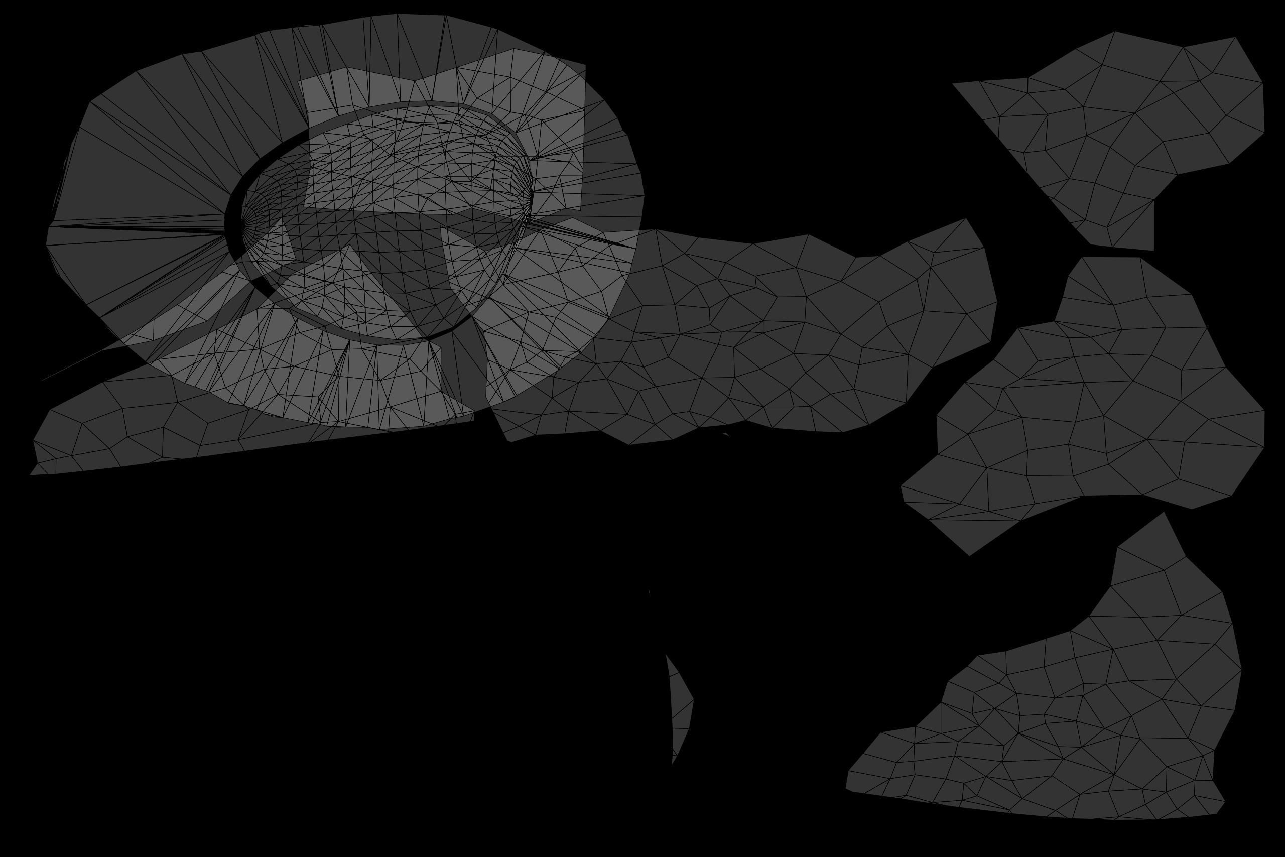 Avocado Low-poly 3D model_29