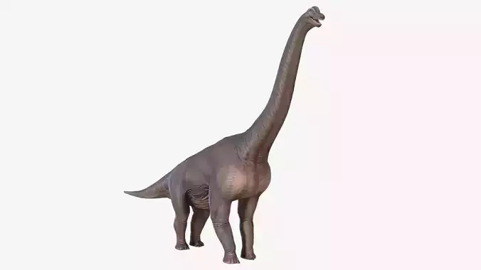 Brachiosaurus dinosaur