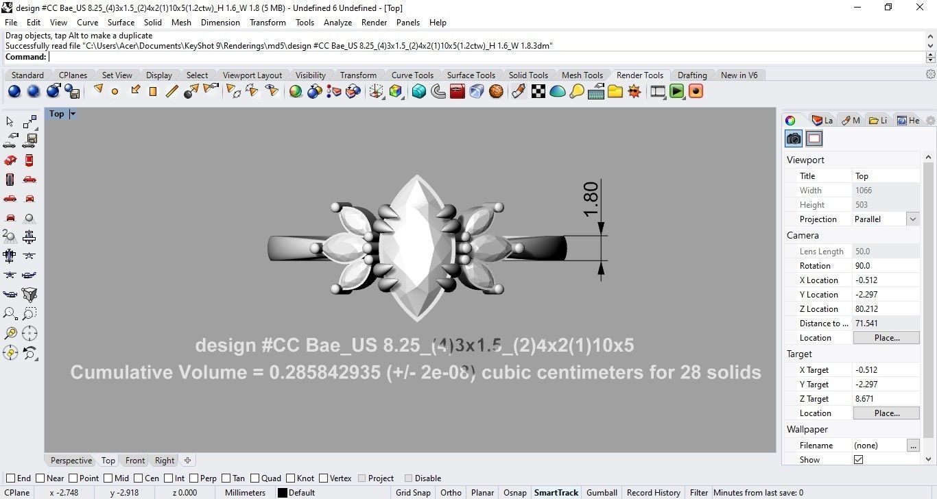 Ring CC Bea 3D print model_5