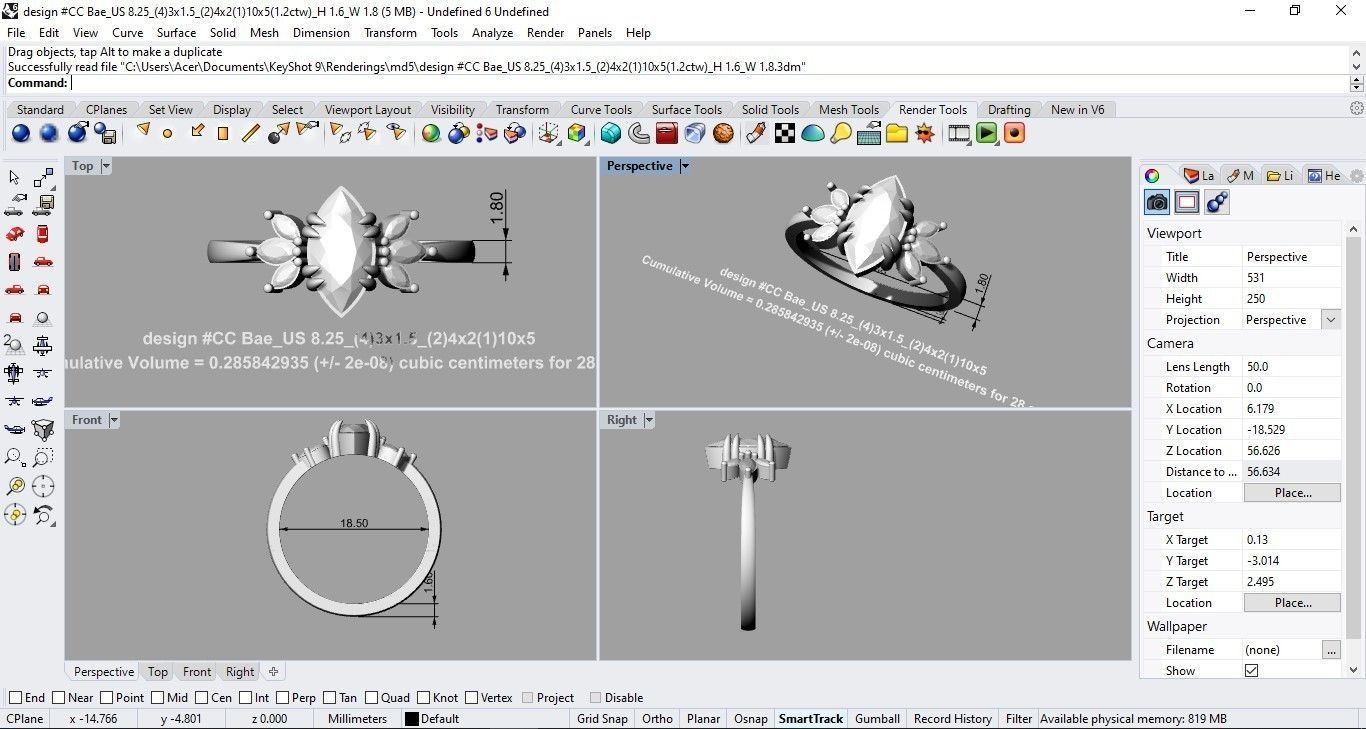 Ring CC Bea 3D print model_4