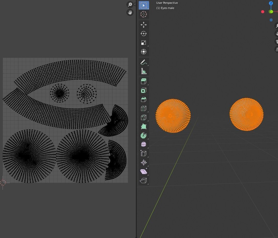 Human Anatomy Basemesh Collection Decimated 3D model_14