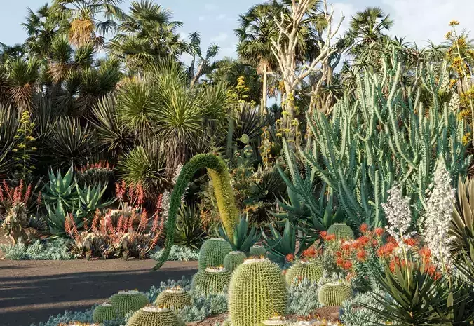 Bundle 12 - Desert Garden 3D model