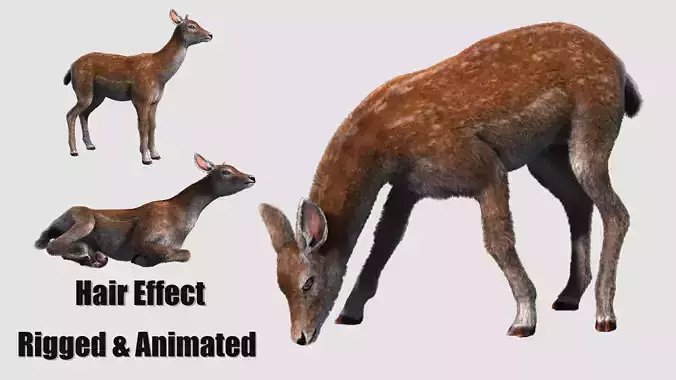 hair effect deer  3D model