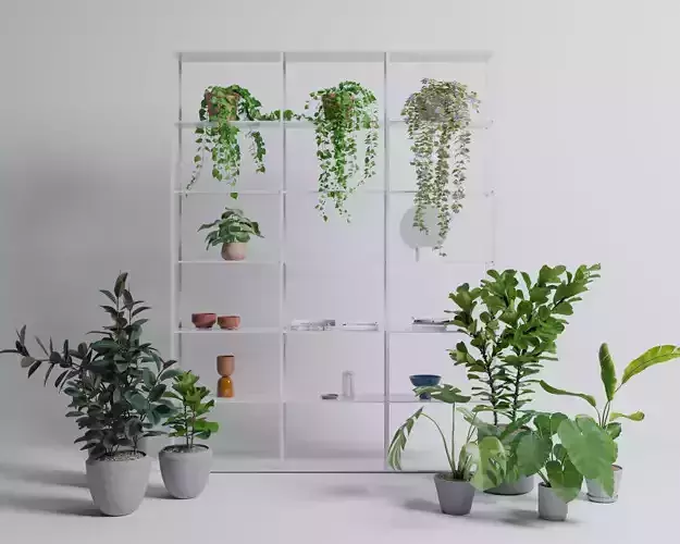 Potted plants with shelf set 1