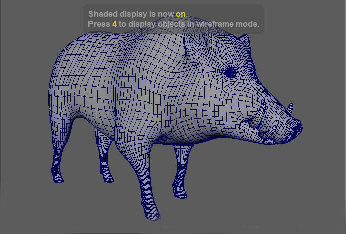 Wild Boar 3D model_11