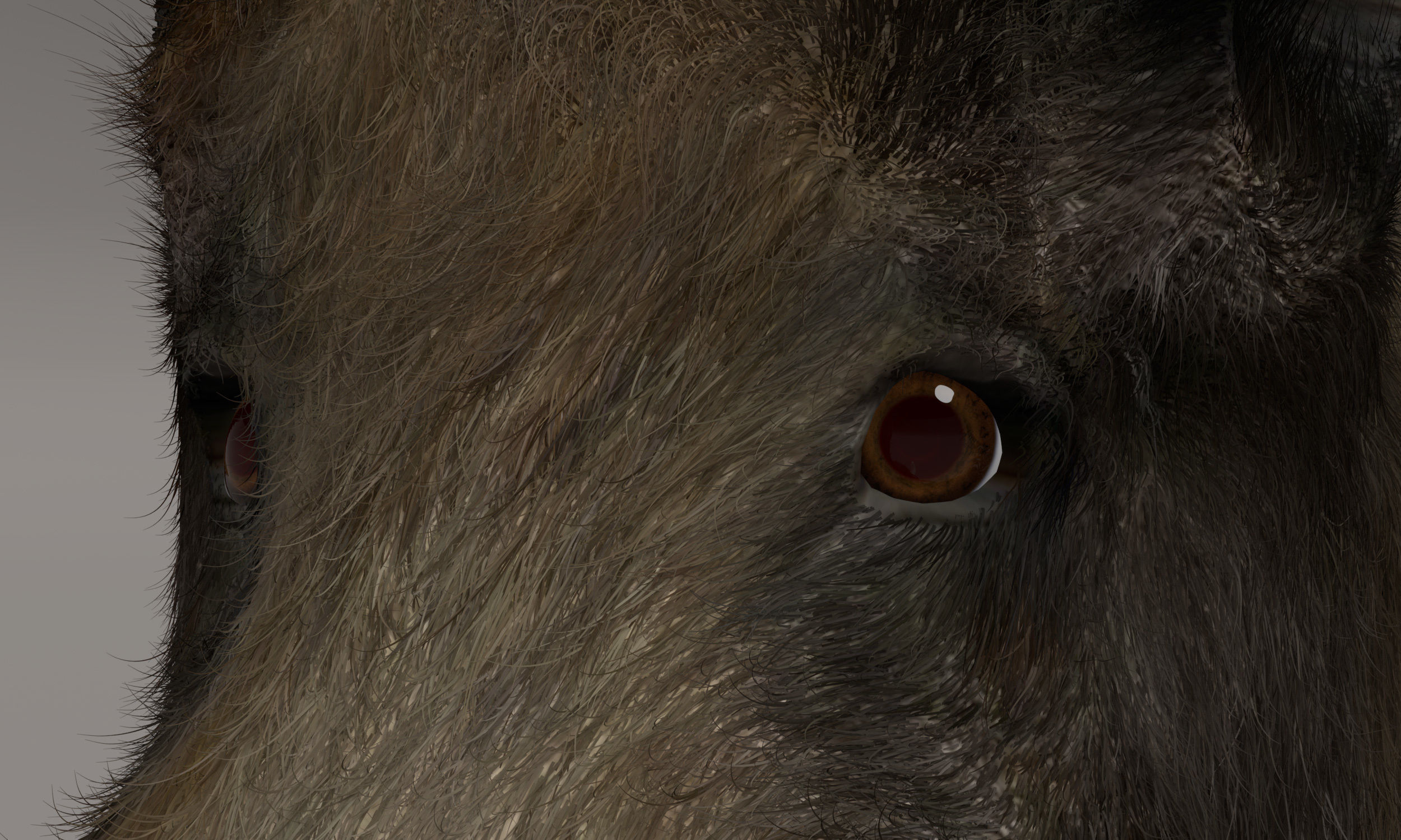 Wild Boar 3D model_6