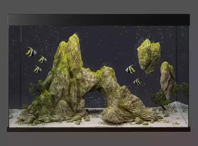 Aquarium with cliff and moss