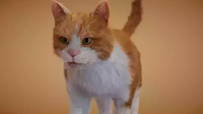 Realistic orange and white cat 3D model