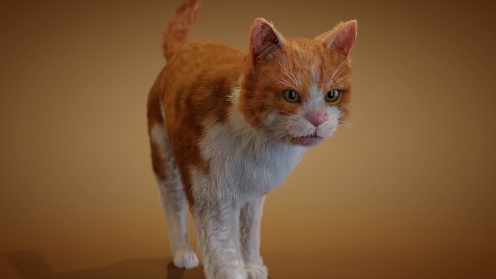 Realistic orange and white cat 3D model_3