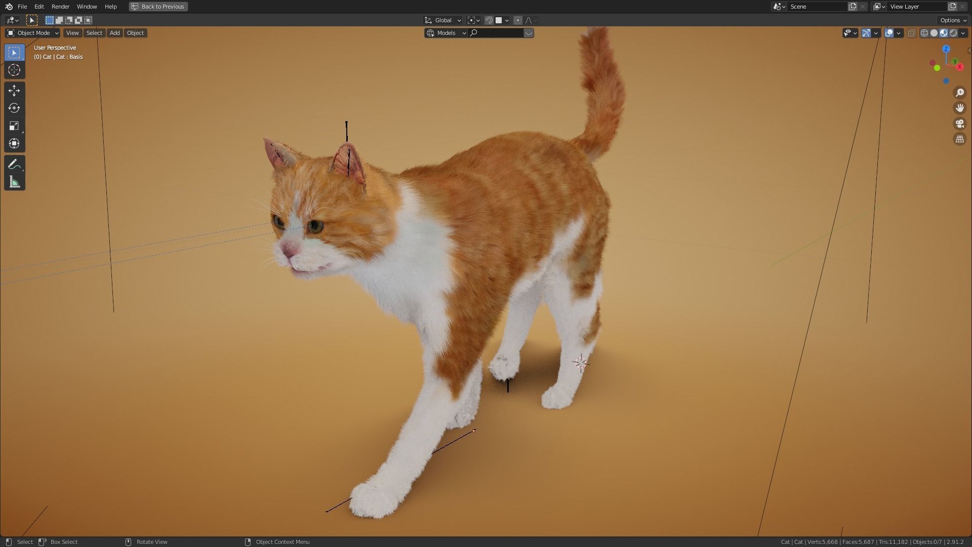 Realistic orange and white cat 3D model_5