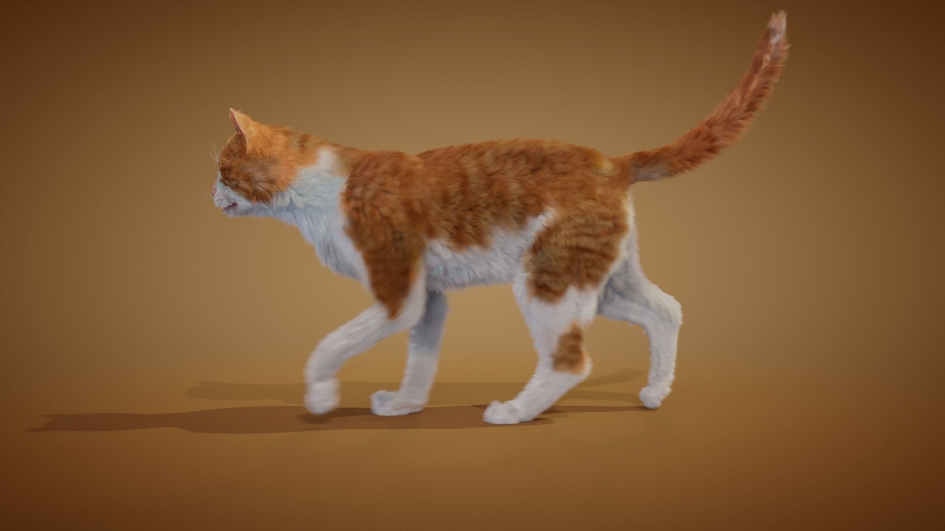 Realistic orange and white cat 3D model_4
