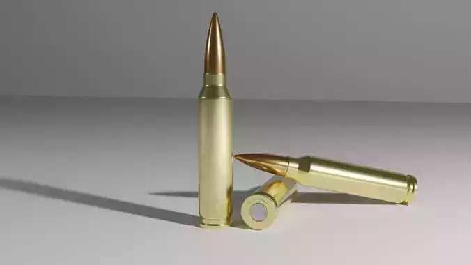 Cartridge ammo 7 62 x 51 mm bullet and shell