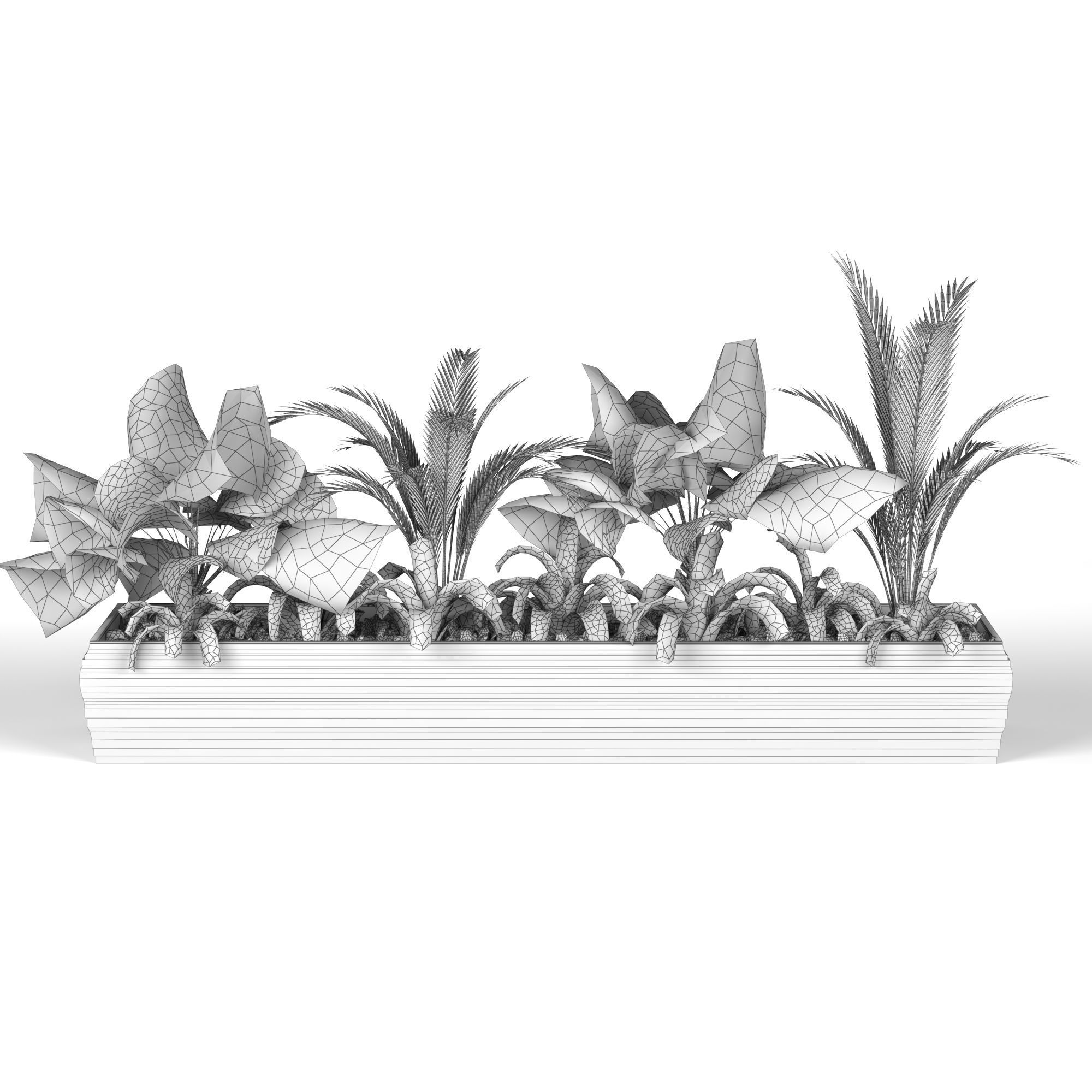 Plants collection 7 two palm trees in planter 3D model_4