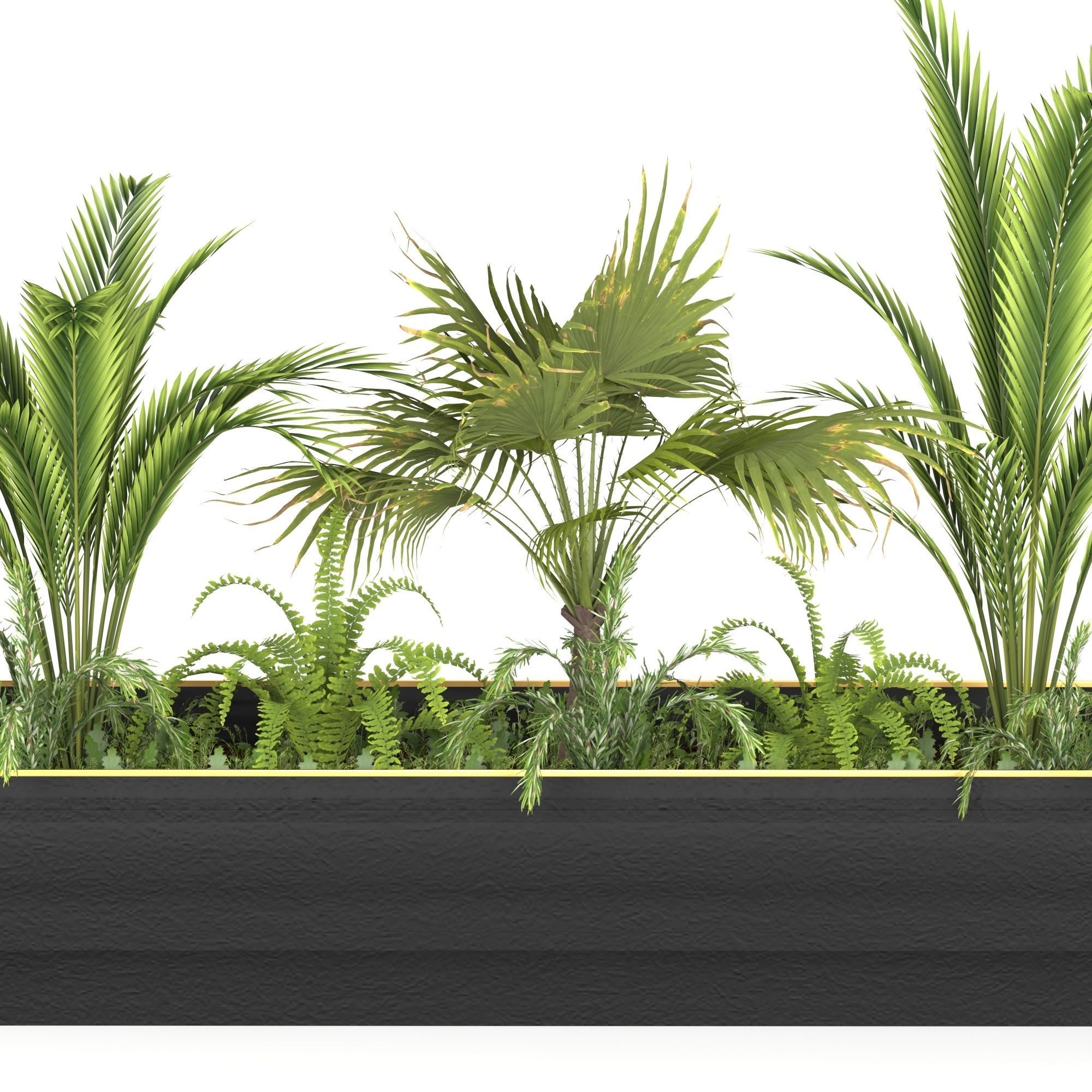Plants collection 7 two palm trees in planter 3D model_1