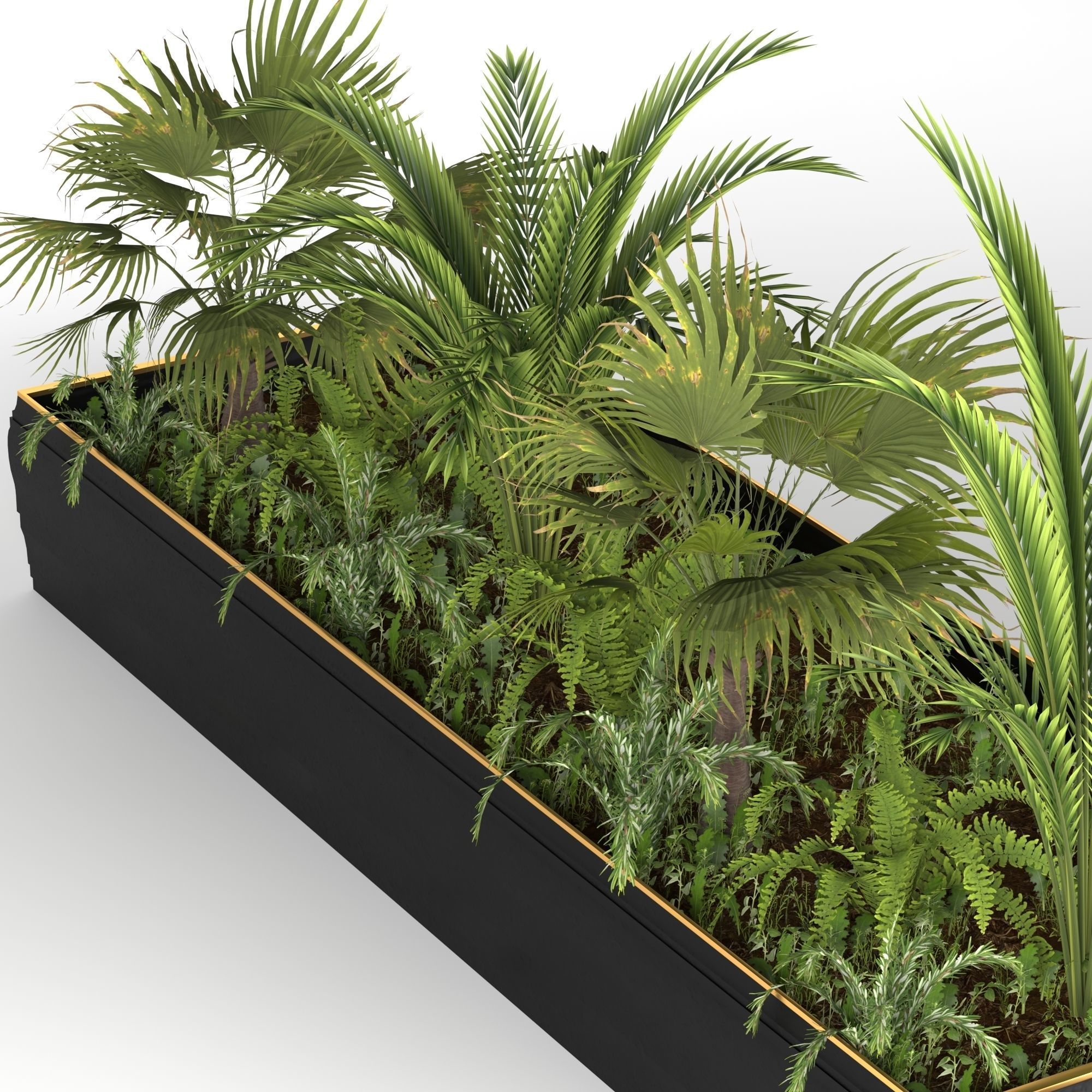 Plants collection 7 two palm trees in planter 3D model_3