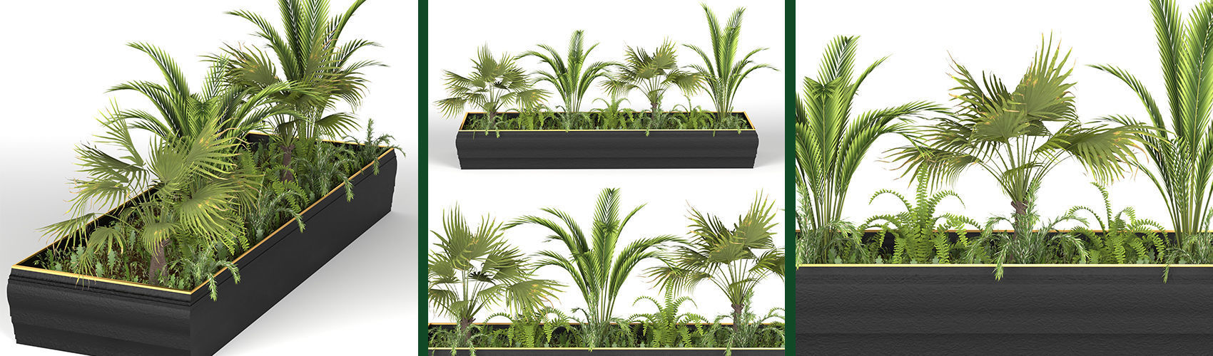 Plants collection 7 two palm trees in planter 3D model_6