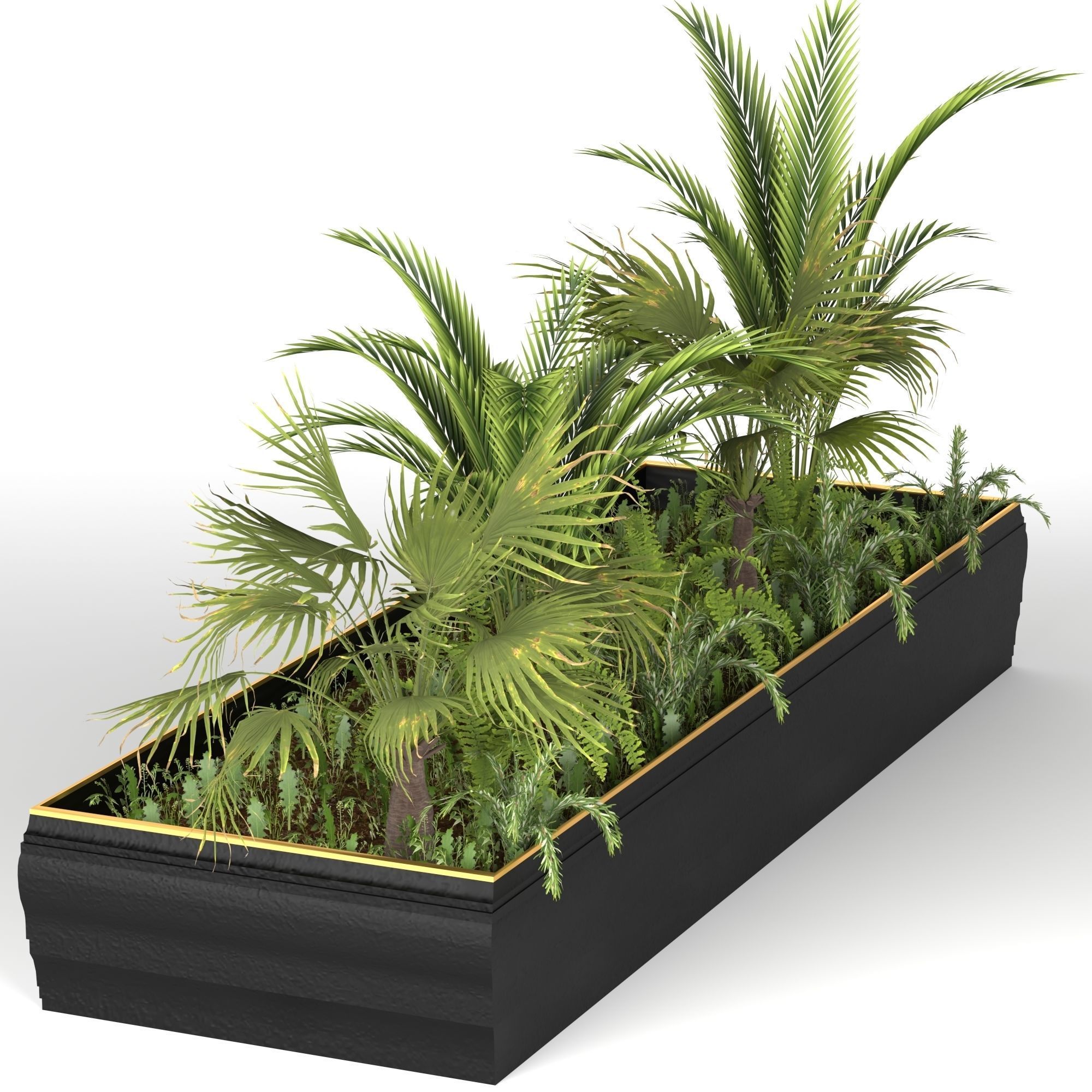Plants collection 7 two palm trees in planter 3D model_2