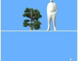 big tree 3D model_11