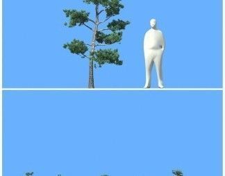 big tree 3D model_13