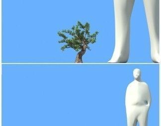 big tree 3D model_7