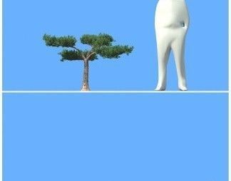 big tree 3D model_10