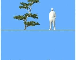 big tree 3D model_12