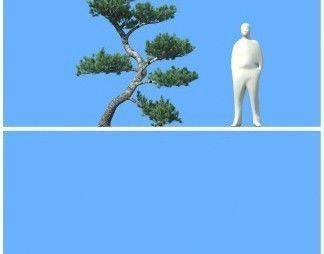 big tree 3D model_14