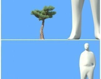 big tree 3D model_8