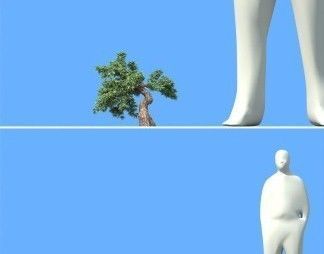 big tree 3D model_9
