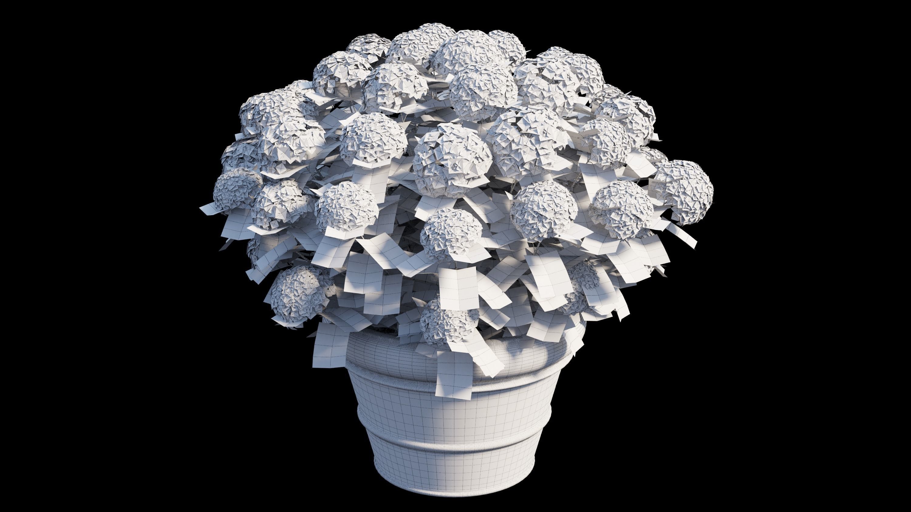Hydrangea in planters 3D model_11