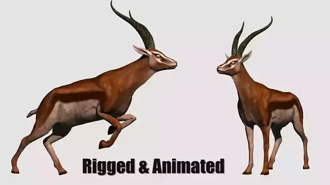 animated gazelle 3D model