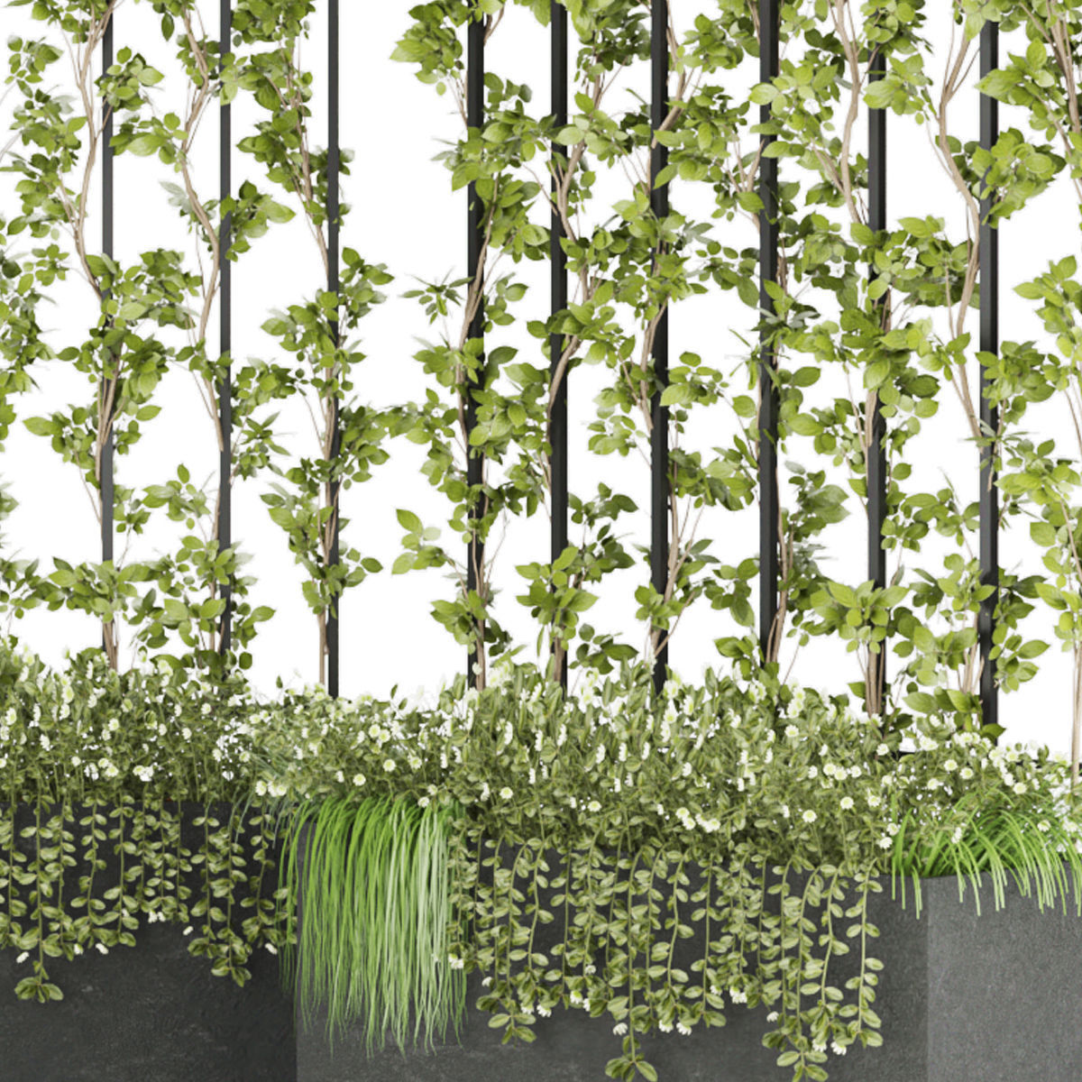 Collection plant vol 36 3D model_1