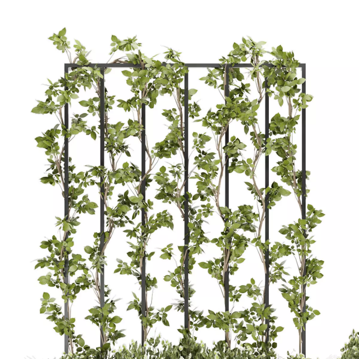 Collection plant vol 36 3D model_0