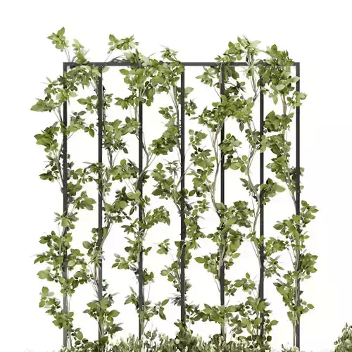 Collection plant vol 36 3D model