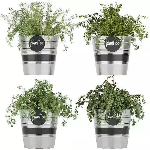 Collection plant vol 40