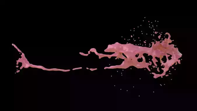 Splash 3 3D model